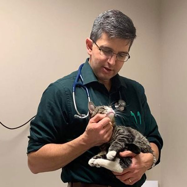 Careers Memorial Animal Hospital