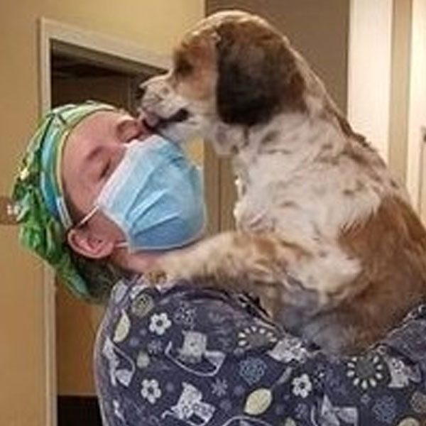 Careers Memorial Animal Hospital